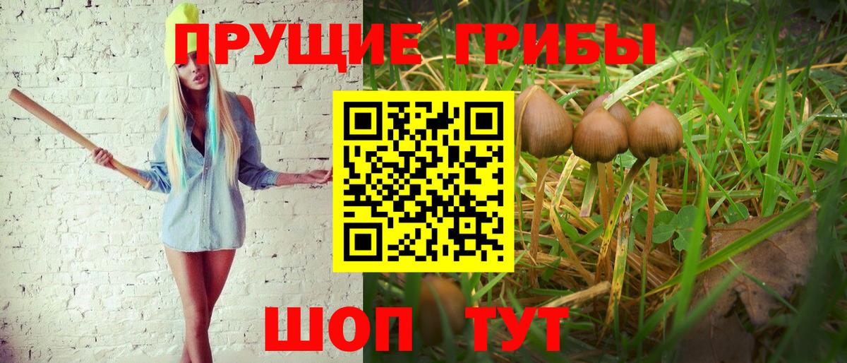 Псилоцибиновые грибы ЛСД  Вход с VPN  Джанкой  Псилоцибиновые грибы мицелий 